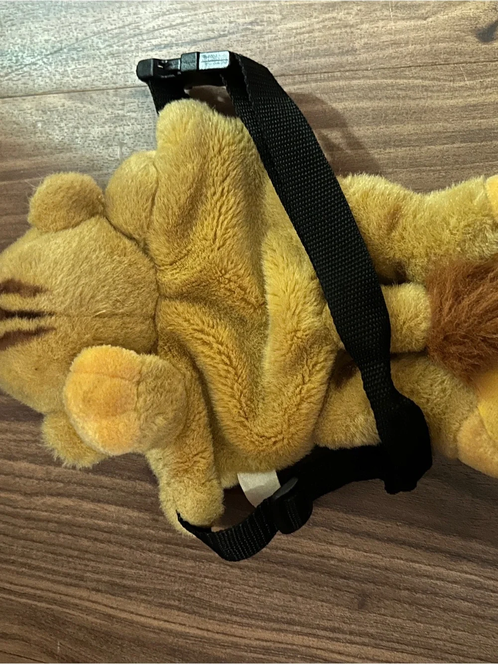 Disney rare find